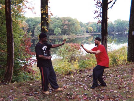 Mujahid and Talha go over Xing Yi Quan techniques.